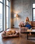 Trientsofa mit hundelounge in Sanitex 658407