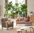 Ancona Sofa und Sessel in Lederlook Vegan 03201205